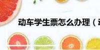 動車學生票怎么辦理(動車學生票)