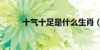 十氣十足是什么生肖(十氣然應)