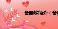 舍腰蜂簡介(舍腰蜂)