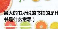 最大的書所說的書指的是什么(最大的書里的書是什么意思)