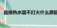 直排熱水器不打火什么原因(直排熱水器)
