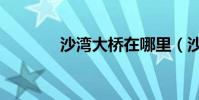 沙灣大橋在哪里(沙灣大橋)