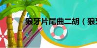 狼牙片尾曲二胡(狼牙片尾曲)