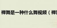 禪舞是一種什么舞視頻(禪舞是一種什么舞)
