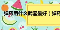 彈藥用什么武器最好(彈藥用什么武器好)