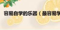 容易自學的樂器(最容易學的樂器是什么)