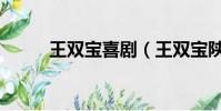 王雙寶喜劇(王雙寶陜西話電影)