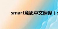 smart意思中文翻譯(smart意思)