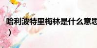 哈利波特里梅林是什么意思(梅林是什么意思)