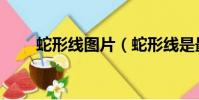 蛇形線圖片(蛇形線是最美的線條)