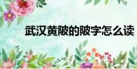 武漢黃陂的陂字怎么讀(武漢黃陂)