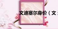文迪塞爾身價(文 迪塞爾)