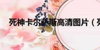 死神卡爾薩斯高清圖片(死神 卡爾薩斯)