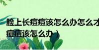 臉上長痘痘該怎么辦怎么才可以變白(臉上長痘痘該怎么辦)