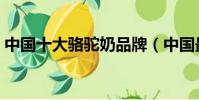中國十大駱駝奶品牌(中國最好駱駝乳品牌)