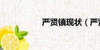 嚴賢鎮現狀(嚴賢鎮)