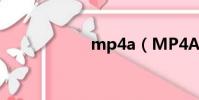 mp4a(MP4AVC)