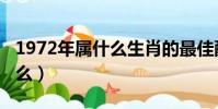 1972年屬什么生肖的最佳配偶(1972年屬什么)