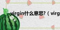virgin什么意思?(virgin什么意思)