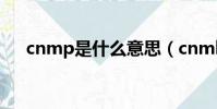 cnmp是什么意思(cnmb是什么意思)