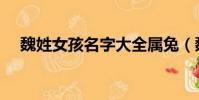 魏姓女孩名字大全屬兔(魏姓女孩名字)