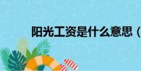陽光工資是什么意思(陽光工資)