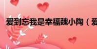愛到忘我是幸福魏小陶(愛到忘我是幸福)