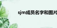 sjm成員名字和圖片(sj m)