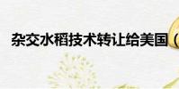 雜交水稻技術轉讓給美國(雜交水稻技術)