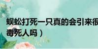 蜈蚣打死一只真的會引來很多嗎(蜈蚣毒性能毒死人嗎)