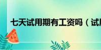 七天試用期有工資嗎(試用期有工資嗎)