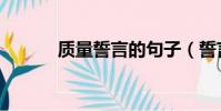 質量誓言的句子(誓言的句子)