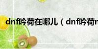 dnf吟荷在哪兒(dnf吟荷npc在哪能找到)
