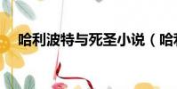 哈利波特與死圣小說(哈利波特與死圣)