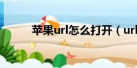 蘋果url怎么打開(url怎么打開)