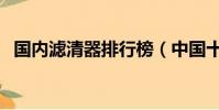 國內濾清器排行榜(中國十大濾清器品牌)