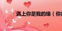 遇上你是我的緣(你是我的緣)