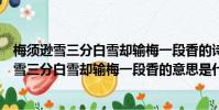 梅須遜雪三分白雪卻輸梅一段香的詩句是什么意思(梅須遜雪三分白雪卻輸梅一段香的意思是什么)