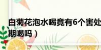 白菊花泡水喝竟有6個害處(白菊花泡水能長期喝嗎)