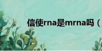 信使rna是mrna嗎(信使rna)