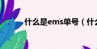 什么是ems單號(什么是EMS)