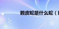 賴皮蛇是什么蛇(賴皮蛇)