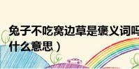兔子不吃窩邊草是褒義詞嗎(兔子不吃窩邊草什么意思)