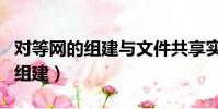對等網的組建與文件共享實驗小結(對等網的組建)