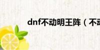 dnf不動明王陣(不動明王陣)