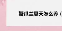 蟹爪蘭夏天怎么養(蟹爪蓮)
