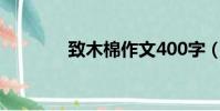 致木棉作文400字(致木棉)