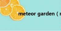 meteor garden(meteor)