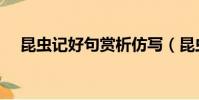 昆蟲記好句賞析仿寫(昆蟲記好句賞析)