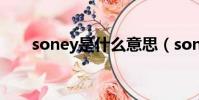soney是什么意思(sonia什么意思)